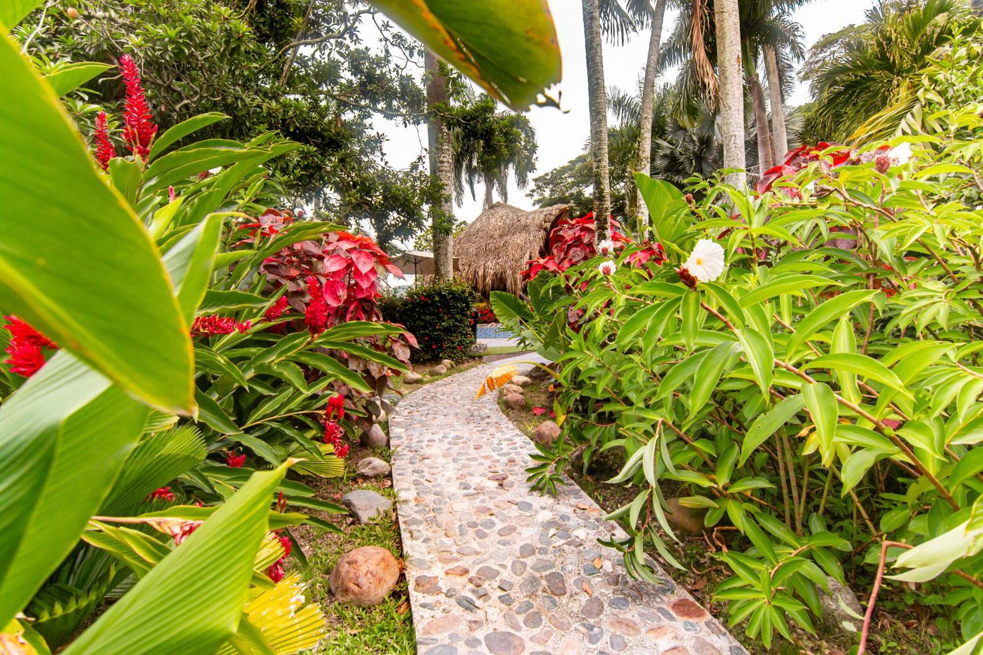 Portales Del Tayrona Garden Hotel Calabazo  Exterior foto